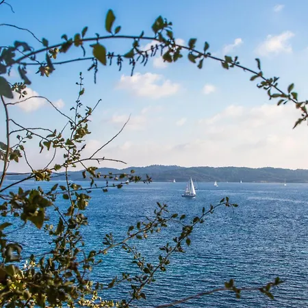 5 Etoiles Vue Sur Les Iles D'or Sea And Mountain Pleasure Vue La Californie 卡尔特汉