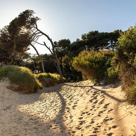 别墅 5 Etoiles Vue Sur Les Iles D'or Sea And Mountain Pleasure Vue La Californie